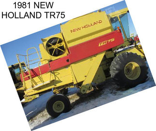 1981 NEW HOLLAND TR75