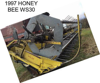 1997 HONEY BEE WS30