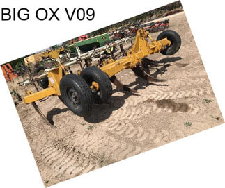 BIG OX V09