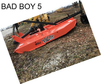 BAD BOY 5