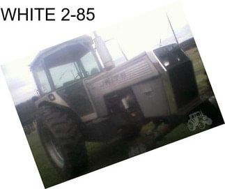 WHITE 2-85