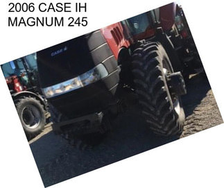 2006 CASE IH MAGNUM 245