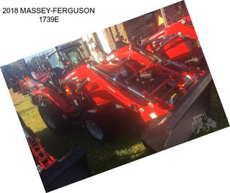 2018 MASSEY-FERGUSON 1739E