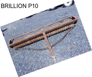 BRILLION P10