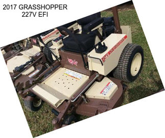 2017 GRASSHOPPER 227V EFI