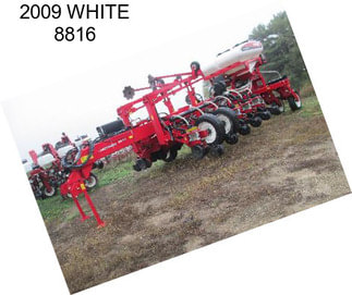 2009 WHITE 8816