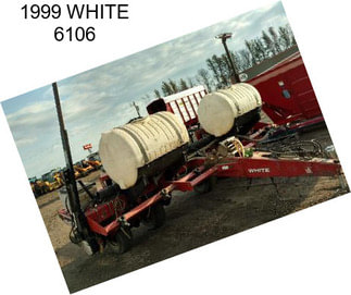 1999 WHITE 6106