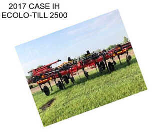 2017 CASE IH ECOLO-TILL 2500