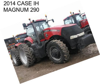 2014 CASE IH MAGNUM 290