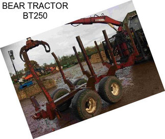 BEAR TRACTOR BT250