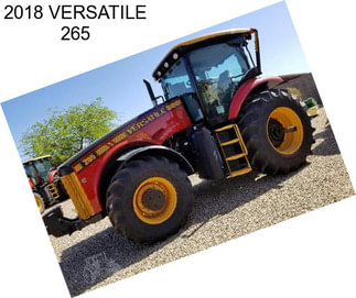 2018 VERSATILE 265