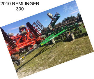 2010 REMLINGER 300