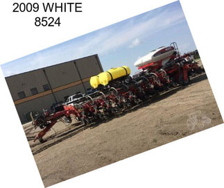 2009 WHITE 8524