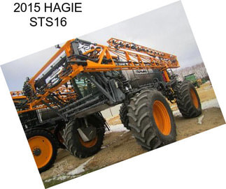 2015 HAGIE STS16