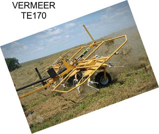 VERMEER TE170