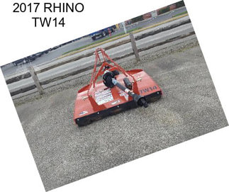 2017 RHINO TW14
