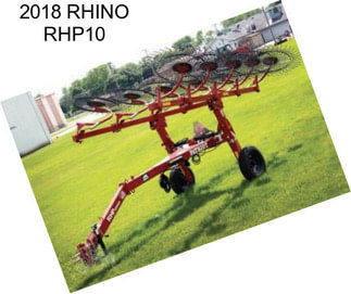 2018 RHINO RHP10