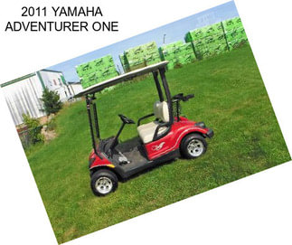 2011 YAMAHA ADVENTURER ONE