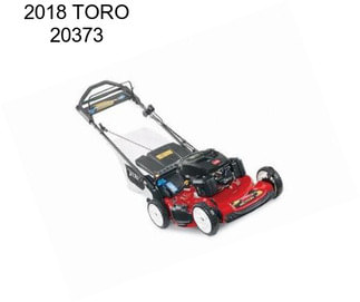 2018 TORO 20373