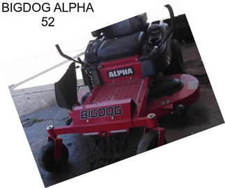 BIGDOG ALPHA 52