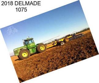 2018 DELMADE 1075