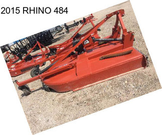 2015 RHINO 484