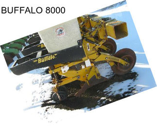 BUFFALO 8000