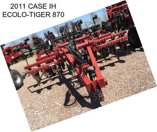 2011 CASE IH ECOLO-TIGER 870