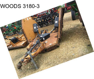 WOODS 3180-3