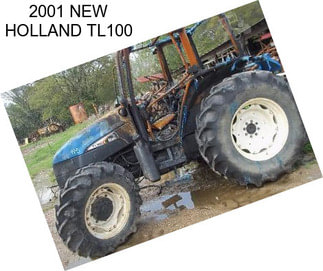 2001 NEW HOLLAND TL100