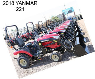 2018 YANMAR 221