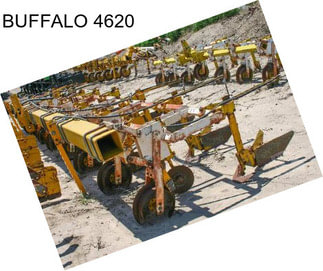 BUFFALO 4620