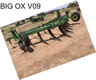 BIG OX V09