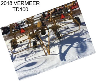 2018 VERMEER TD100