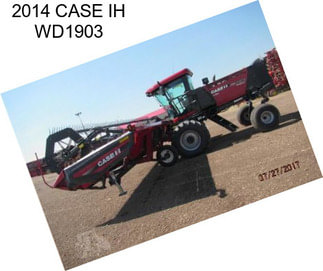 2014 CASE IH WD1903