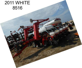 2011 WHITE 8516