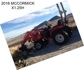 2016 MCCORMICK X1.25H