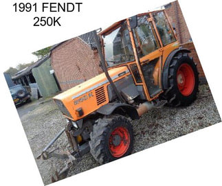 1991 FENDT 250K