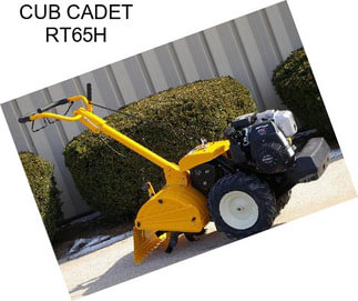 CUB CADET RT65H