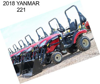 2018 YANMAR 221