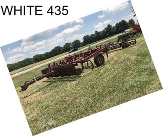 WHITE 435
