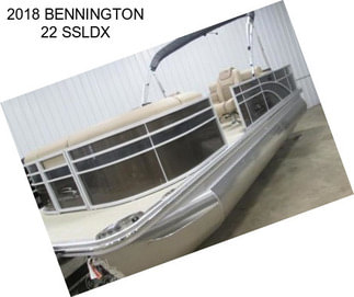 2018 BENNINGTON 22 SSLDX