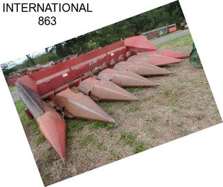 INTERNATIONAL 863