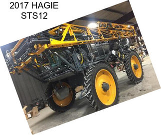 2017 HAGIE STS12