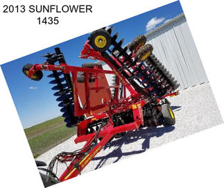 2013 SUNFLOWER 1435