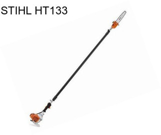 STIHL HT133