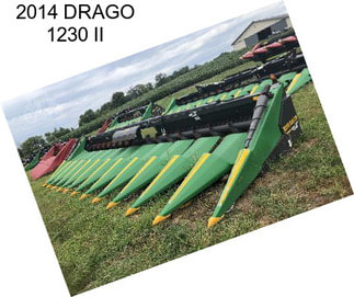 2014 DRAGO 1230 II