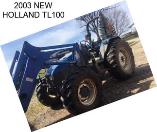 2003 NEW HOLLAND TL100