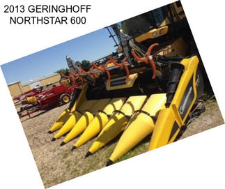 2013 GERINGHOFF NORTHSTAR 600