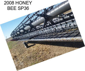 2008 HONEY BEE SP36